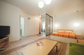 Апартаменты Apartment Cozy Cute Минск Апартаменты Делюкс-12